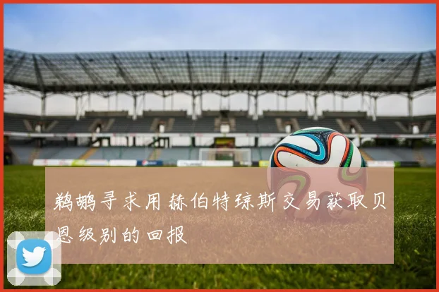 鹈鹕寻求用赫伯特琼斯交易获取贝恩级别的回报