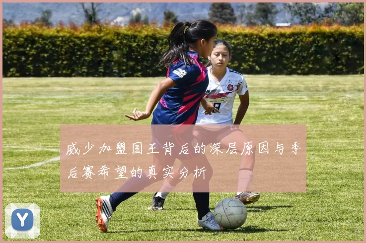 威少加盟国王背后的深层原因与季后赛希望的真实分析